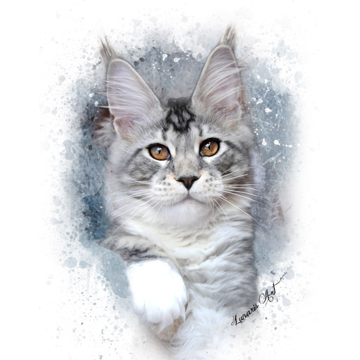 Lunaris Art Silver Maine Coon